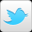 follow us on twitter